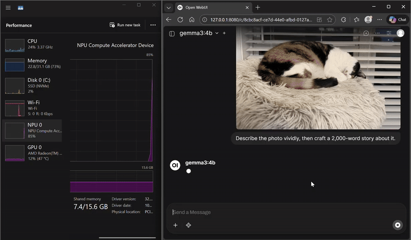 Gemma3 vision model understanding an image
